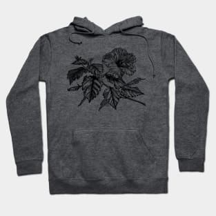 Hibiscus Plant Hoodie